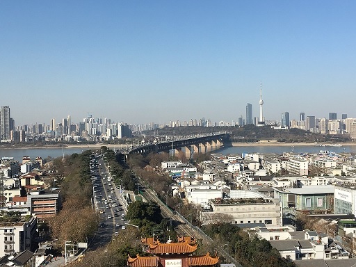 Wuhan takes drastic measure to stop the rot in housing market  