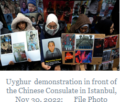 China’s Repression of Uyghurs Extends Beyond Borders, Report Says 